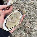 Petite Maison Dans La Manche *