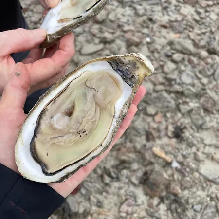 Petite Maison Dans La Manche *
