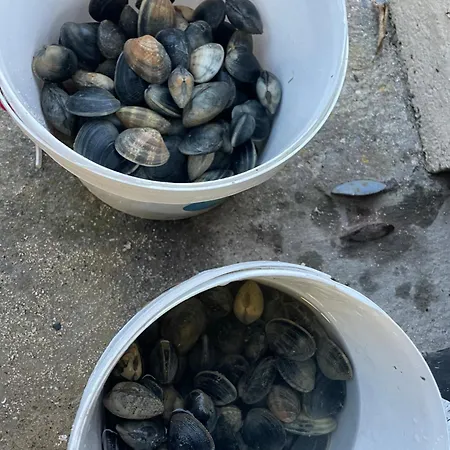 Petite Maison Dans La Manche Creances
