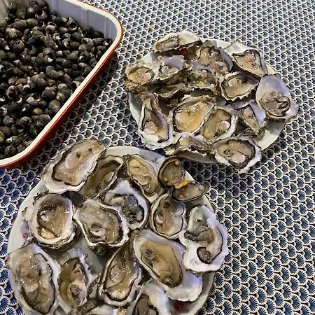 Petite Maison Dans La Manche Сasa de vacaciones Créances