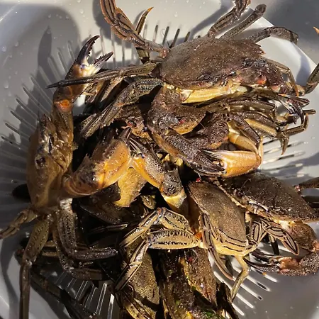 Petite Maison Dans La Manche Casa vacanze *