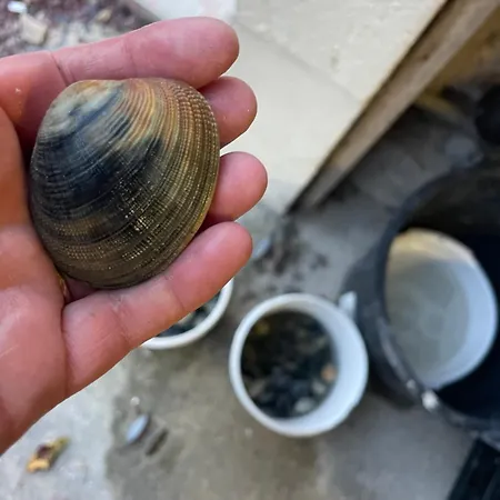 Petite Maison Dans La Manche *