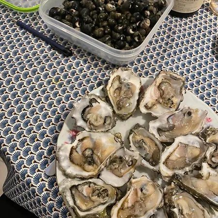 Petite Maison Dans La Manche Сasa de vacaciones Créances