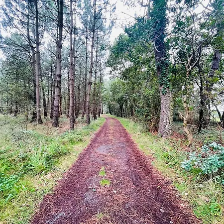 Сasa de vacaciones Petite Maison Dans La Manche