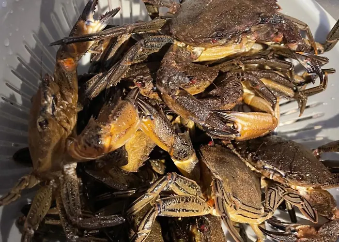 Petite Maison Dans La Manche Holiday home *