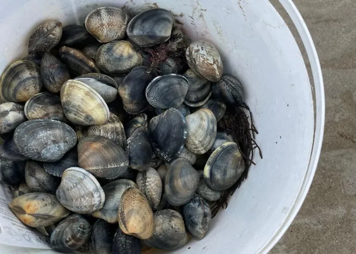 Petite Maison Dans La Manche Creances