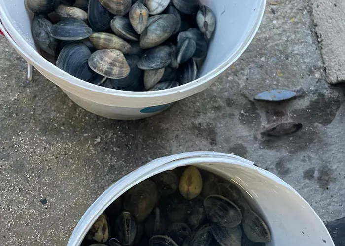 Petite Maison Dans La Manche Creances